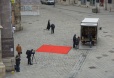 rose von jericho - Transport und Aufbau Stephansplatz 2013 1